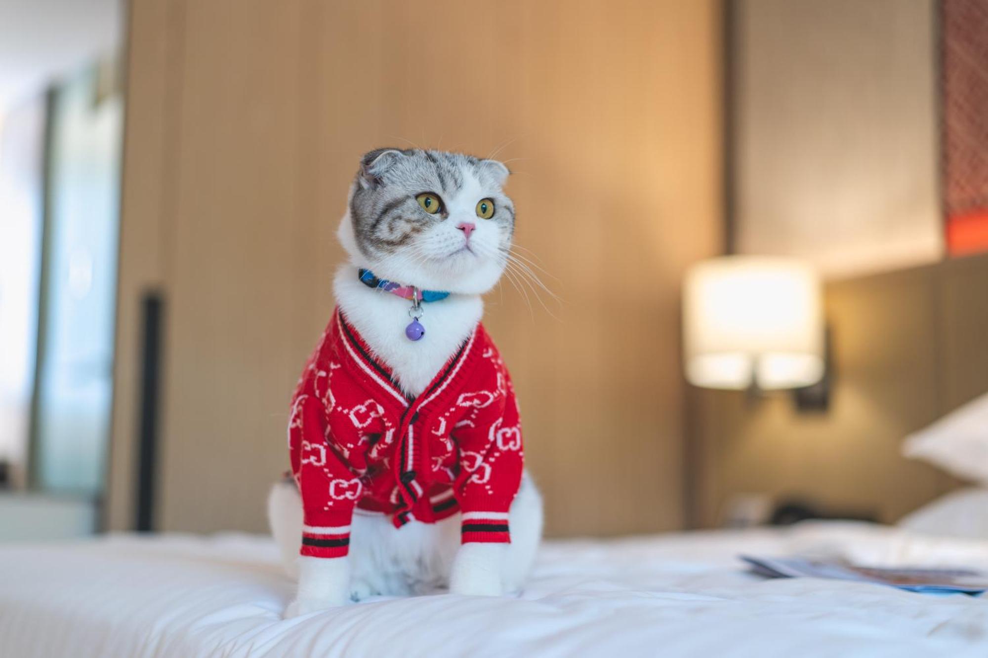 Hyatt Regency Hua Hin Hotell Eksteriør bilde